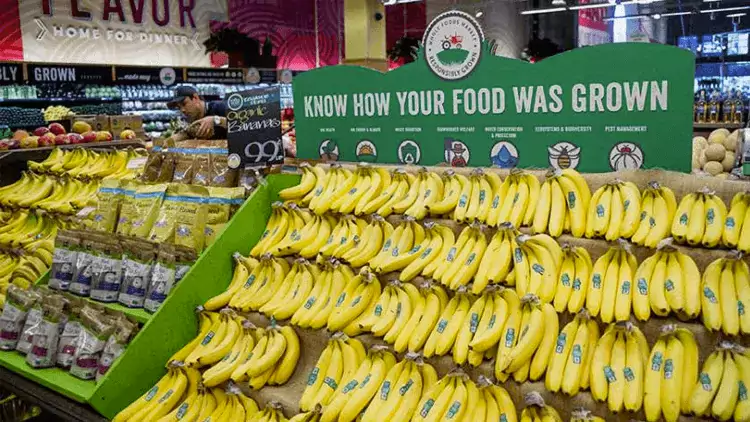 grown-local-grocery-signage